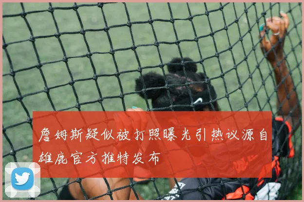 詹姆斯疑似被打照曝光引热议源自雄鹿官方推特发布